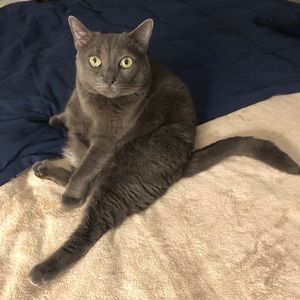 Meet your Posher, Grace